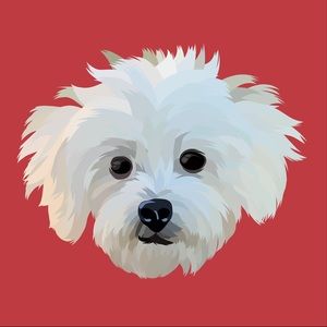 Meet your Posher, Cheryll